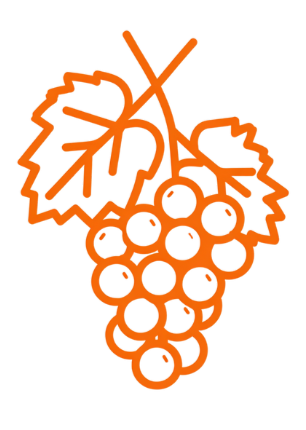 trauben icon e1756973402153