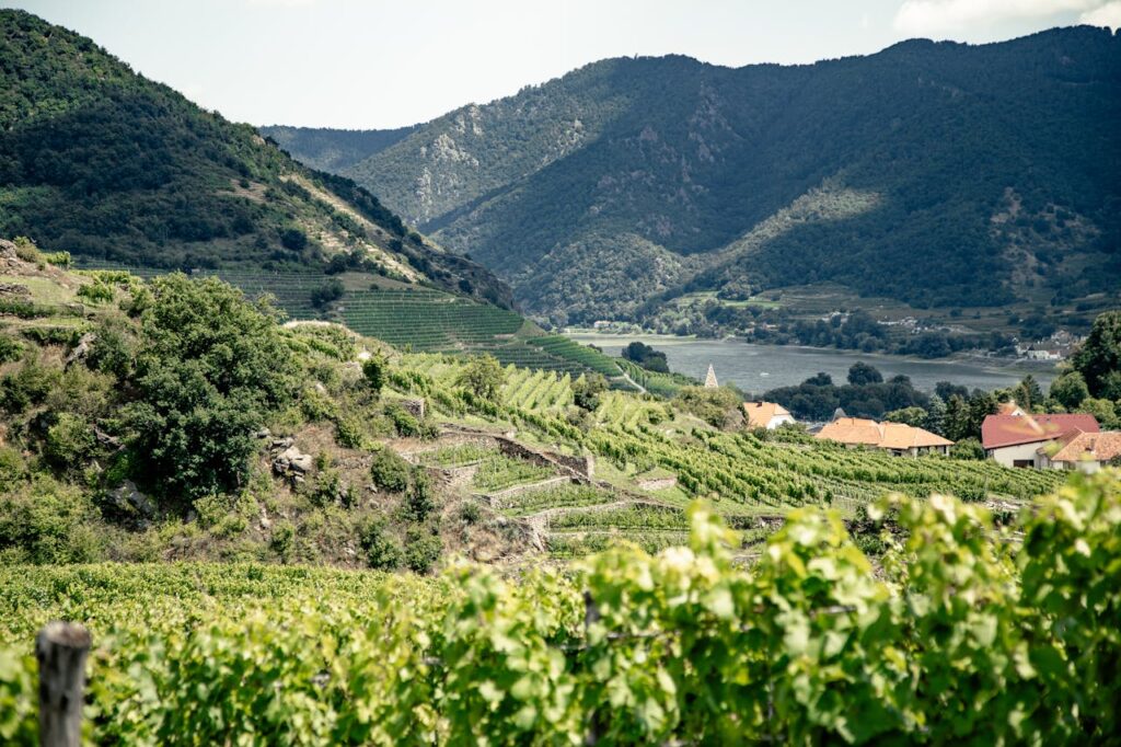 Landschaftsfoto der Wachau